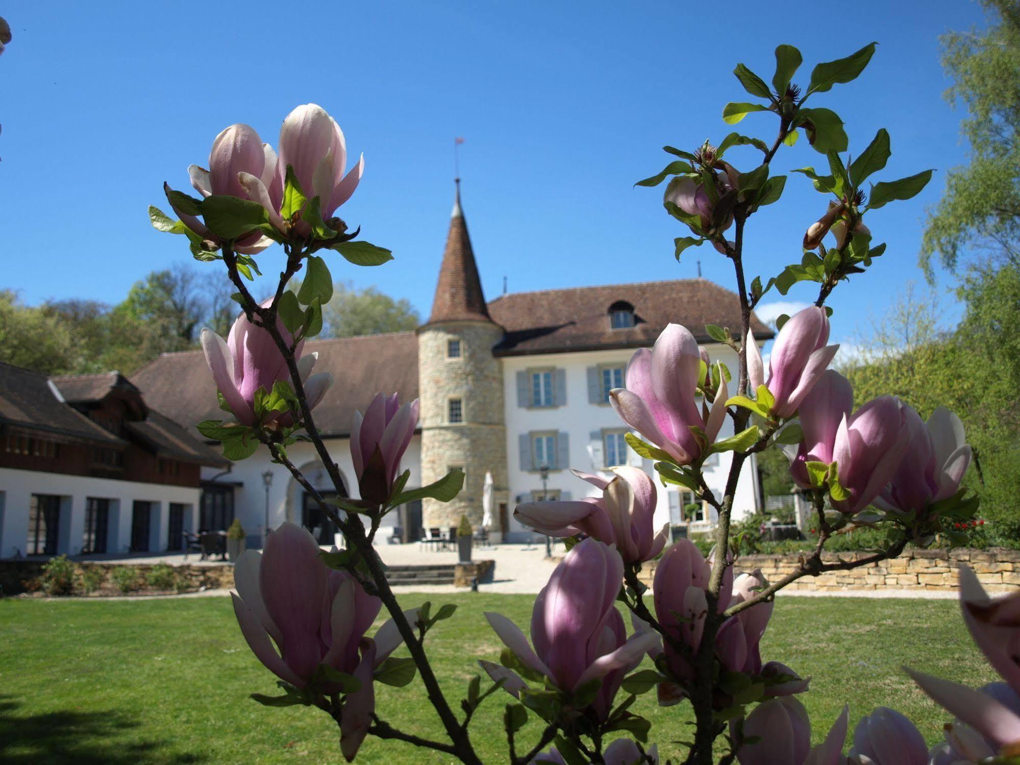 Chateau Salavaux Vully-les-Lacs