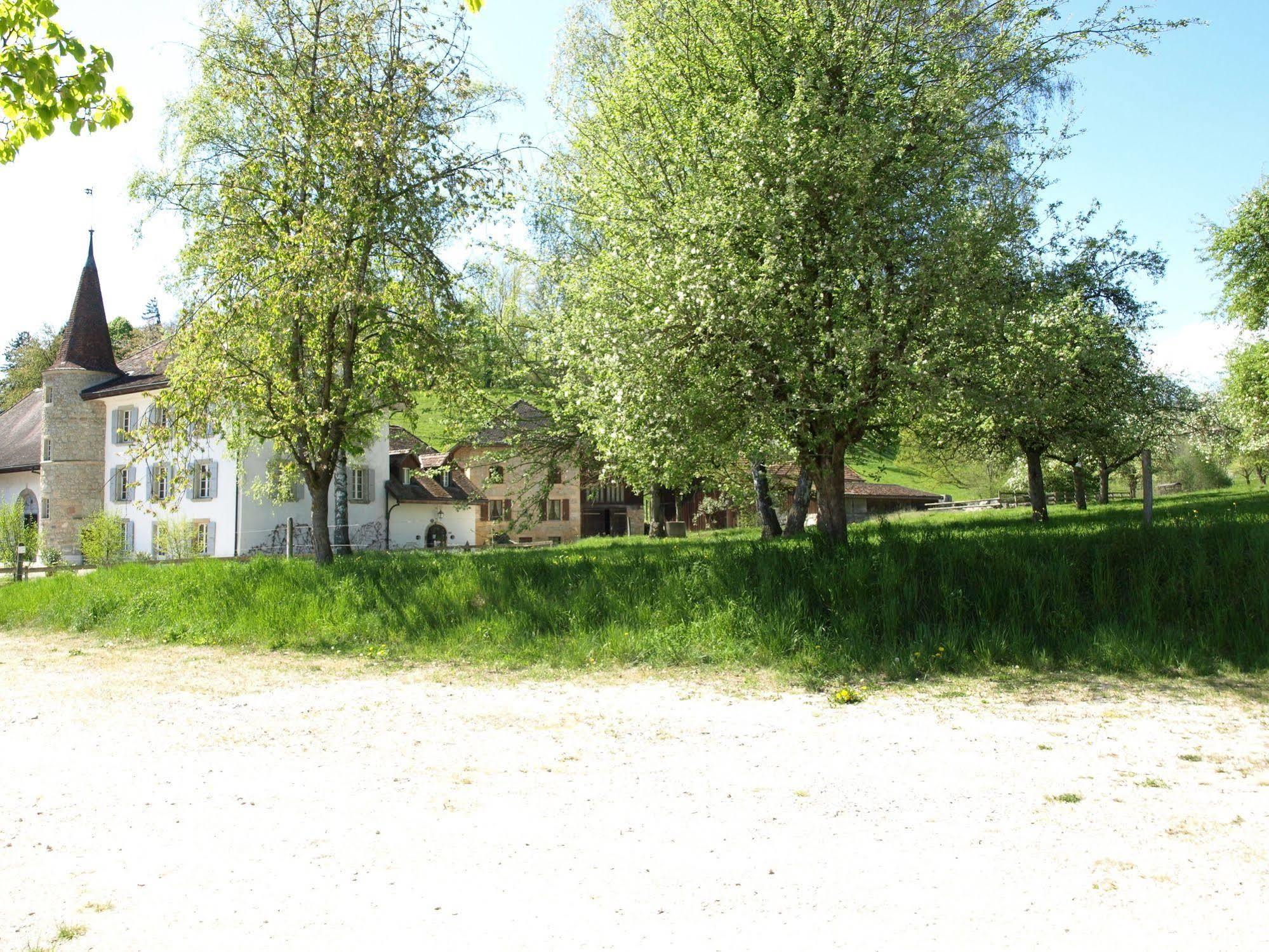 Chateau Salavaux